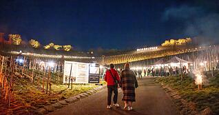 Leuchtfiguren, Gl&uuml;hbirnen, Feuerk&ouml;rbe: Beim Rebengl&uuml;hen in Bretzfeld bietet der Lindelberg an drei Abenden eine ganz besondere Atmosph&auml;re.
