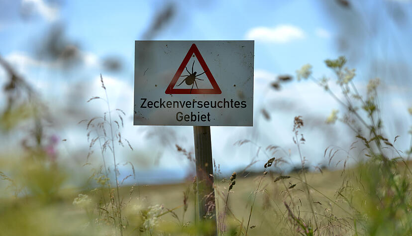 Dieses Schild mit der Aufschrift «Zeckenverseuchtes Gebiet» steht an einer Wiese auf der Wasserkuppe. Foto: Dpa