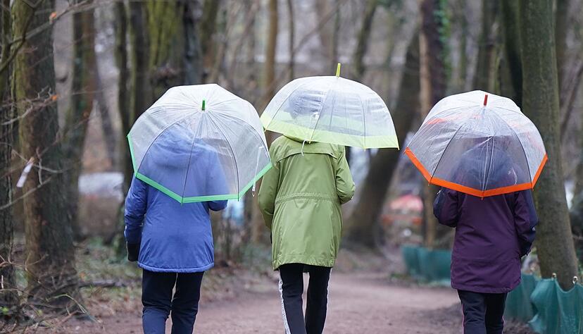 Spaziergang mit Regenschirmen in Hamburg. Spaziergang mit Regenschirmen in Hamburg.