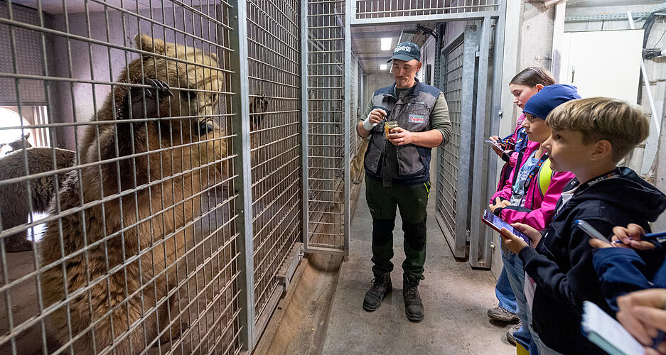 Stimme-Kindereporter zu Besuch im Wildparadies Tripsdrill