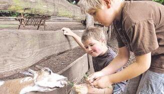 Anziehungspunkt für Kinder: Im Streichelzoo des Zeitwalds sind heimische Tiere zu Hause.Fotos: Steffan Maurhoff Anziehungspunkt für Kinder: Im Streichelzoo des Zeitwalds sind heimische Tiere zu Hause.Fotos: Steffan Maurhoff