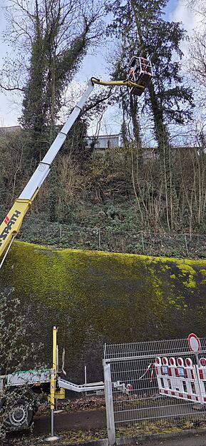 Nach dem Felsabgang in Lauffen findet eine geologische Untersuchung des Hangs statt.