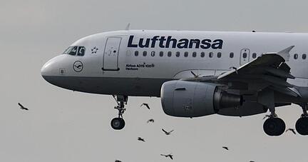 Die Lufthansa will in den kommenden Wochen bis zu 50 zusätzliche Flugzeuge reaktivieren.