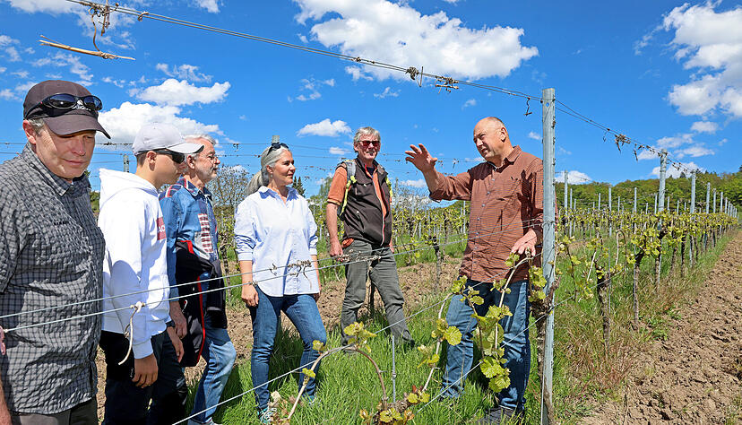 Trotz Frost ist die Vegetation derzeit weiter als im Vorjahr, so Andreas Hieber (rechts) vom Weingut Schäfer-Heinrich. Trotz Frost ist die Vegetation derzeit weiter als im Vorjahr, so Andreas Hieber (rechts) vom Weingut Schäfer-Heinrich.