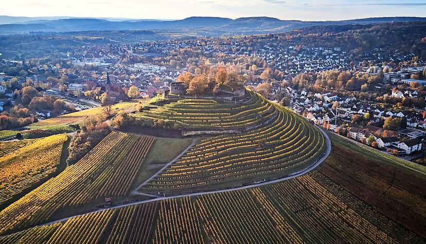 Die Weibertreu thront als Wahrzeichen über Weinsberg. Sie bietet ein lohnendes Ziel für einen Spaziergang, ist doch eine Rundumaussicht garantiert, wenn die Burgruine wieder geöffnet ist.
Foto: Wolfram Linnebach