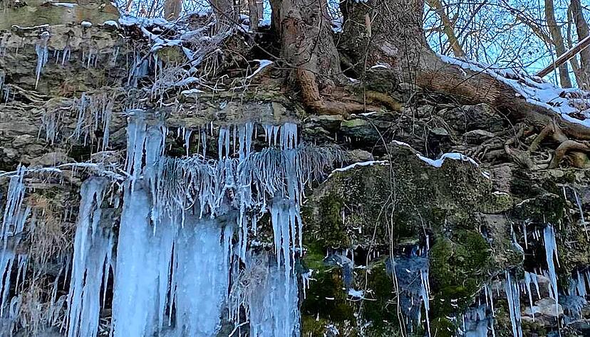 Meterhohe Eiszapfen hängen an den Felswänden in den Hohenloher Steinbrüchen und in dem kleinen Wäldchen bei Weißlensburg. Meterhohe Eiszapfen hängen an den Felswänden in den Hohenloher Steinbrüchen und in dem kleinen Wäldchen bei Weißlensburg.
