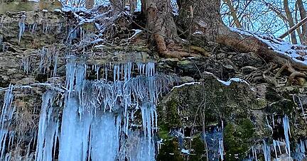 Meterhohe Eiszapfen hängen an den Felswänden in den Hohenloher Steinbrüchen und in dem kleinen Wäldchen bei Weißlensburg.
