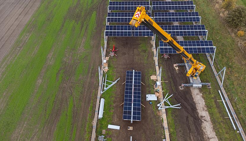 Oben Ökostrom, unten Landwirtschaft: So ähnlich wird die in Kupferzell geplante Agri-PV-Anlage aussehen. Oben Ökostrom, unten Landwirtschaft: So ähnlich wird die in Kupferzell geplante Agri-PV-Anlage aussehen.