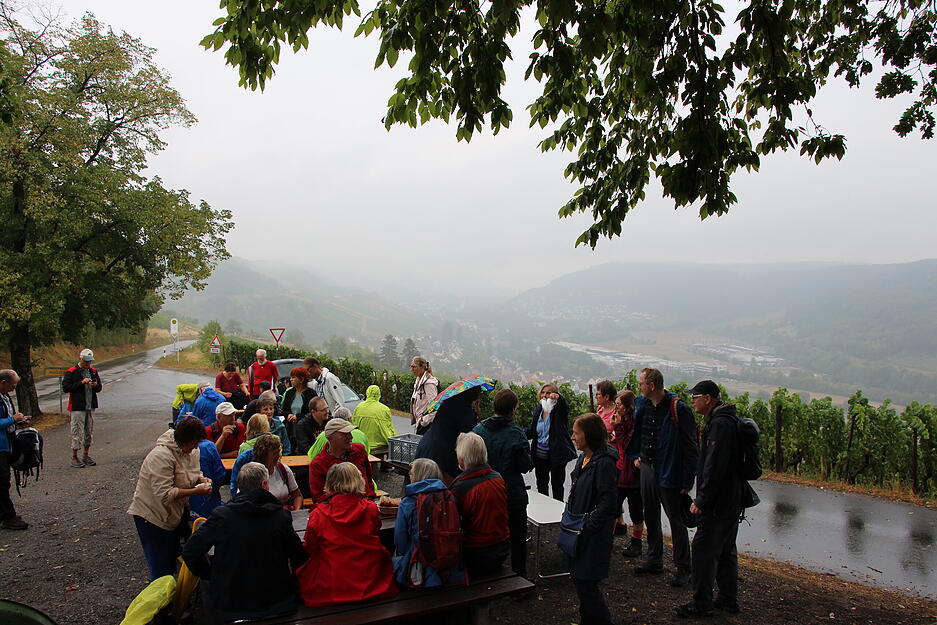 Lesersommer-Wanderung bei Criesbach