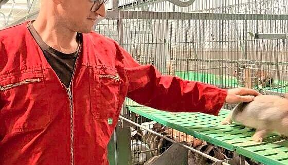 Thomas Bauer ist für die Kaninchen zuständig, sein Bruder kümmert sich um die Schlachterei. Thomas Bauer ist für die Kaninchen zuständig, sein Bruder kümmert sich um die Schlachterei.