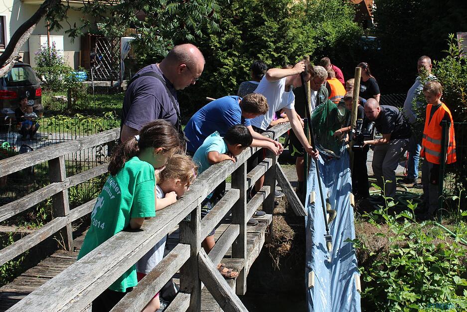 Abfischen in Widdern | 26.08.