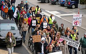 2019, vor der Corona-Pandemie, veranstaltete FFF Eppingen auch Proteste vor Ort im Kraichgau.
Fotos: privat