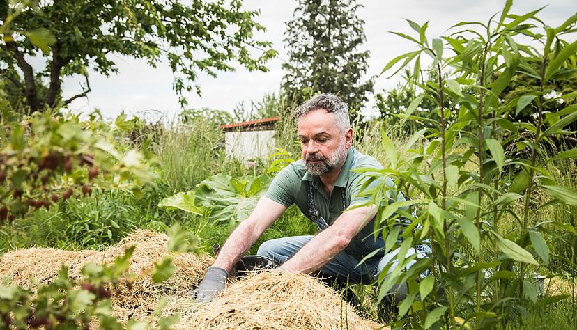 Exotische Pflanzen bereichern den Garten. Doch die Sch&auml;dlinge, die sie vielleicht einschleppen, werden dem &Ouml;kosystem schnell gef&auml;hrlich.