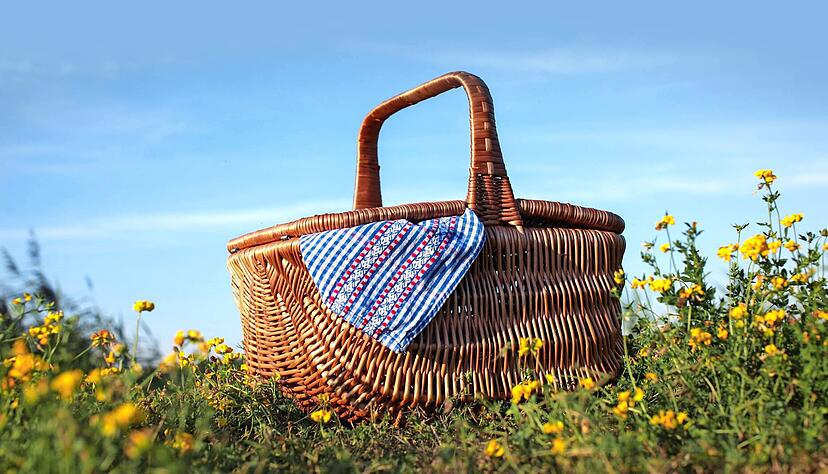 Foto: MK-Photo/stock.adobe.com