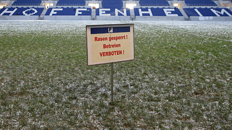 Seit Anfang Dezember liegt der rund 8000 Quadratmeter große Rasen in der Rhein-Neckar-Arena. Vor 15 Monaten war er in einem Anzuchtbetrieb in der Nähe von Darmstadt eingesät worden