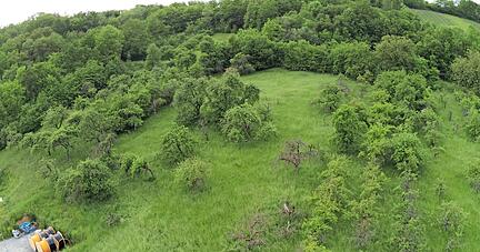 Obstbäume stehen derzeit noch, wo Häuser geplant sind: Die Genehmigung, die Bäume zu fällen, hatte die Stadt Künzelsau eigentlich bereits erhalten.
Foto: Götz Greiner