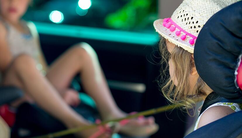 Schutz f&uuml;r Kinder: Sonnenblenden und Folierungen bieten UV-Schutz auf langen Fahrten.