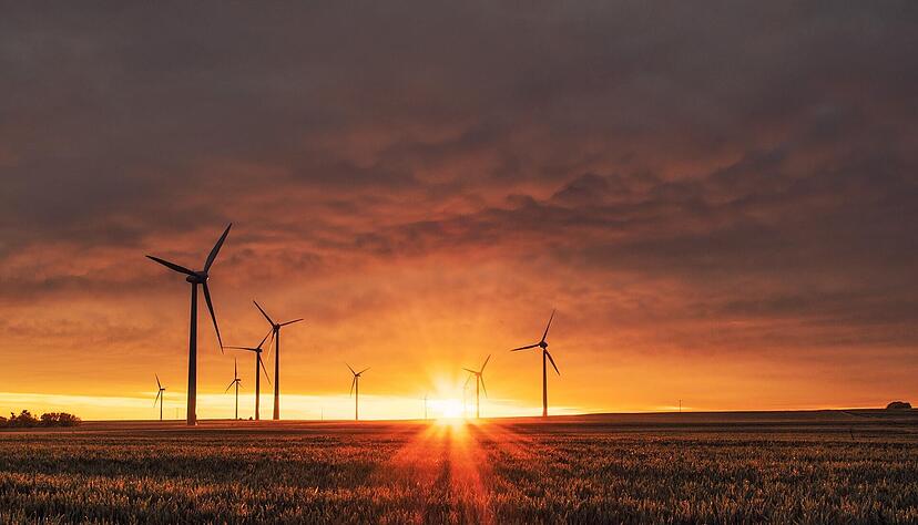 Das Umweltbundesamt hat eine neue Studie zu den Klimazielen veröffentlicht. Quelle: Unsplash