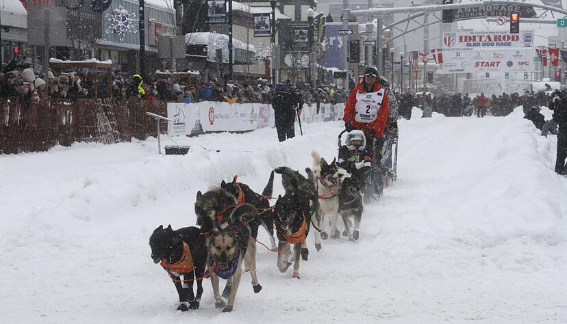 Das Schlittenhunderennen Iditarod ist gestartet. Das Schlittenhunderennen Iditarod ist gestartet.