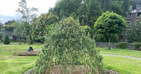 Das lebendige Weidentipi wächst und bietet Kindern einen grünen Rückzugsort im Garten. Das lebendige Weidentipi wächst und bietet Kindern einen grünen Rückzugsort im Garten.