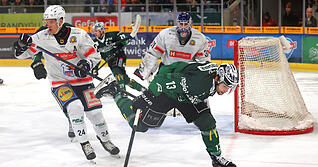 In der Vorsaison kam es noch zu regulären Derbys zwischen den Bietigheim Steelers und den Heilbronner Falken – jetzt nur noch im Testspiel.