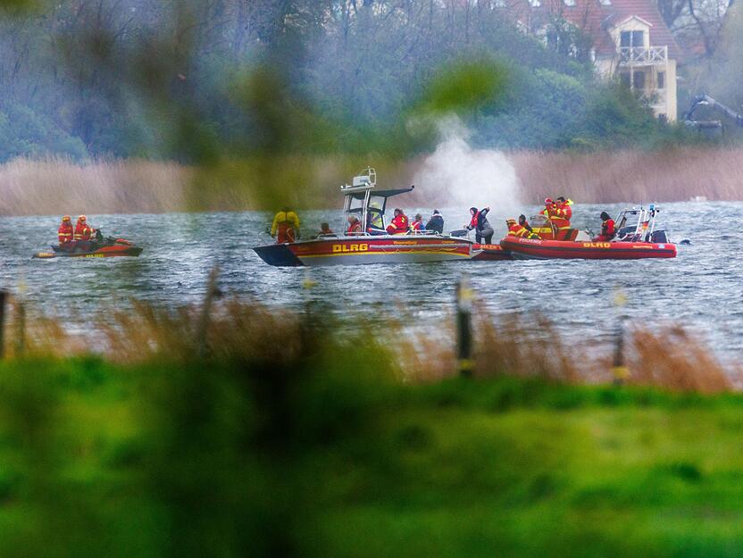 Ist der Wal desorientiert - oder will er in flaches Wasser?