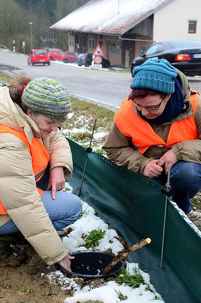 Die freiwilligen Helferinnen Annette Schwarz von Specht (links)  und Marion Valentin kontrollieren beim Widderner Seehaus regelm&auml;&szlig;ig die Kr&ouml;tenschutzz&auml;une