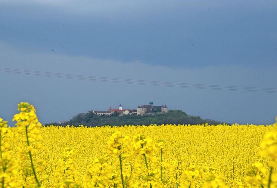 Waldenburg erscheint wie eine Insel im gelben Meer aus Raps Waldenburg erscheint wie eine Insel im gelben Meer aus Raps