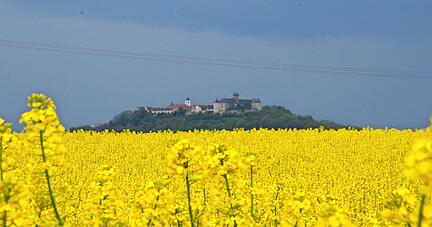 Waldenburg erscheint wie eine Insel im gelben Meer aus Raps