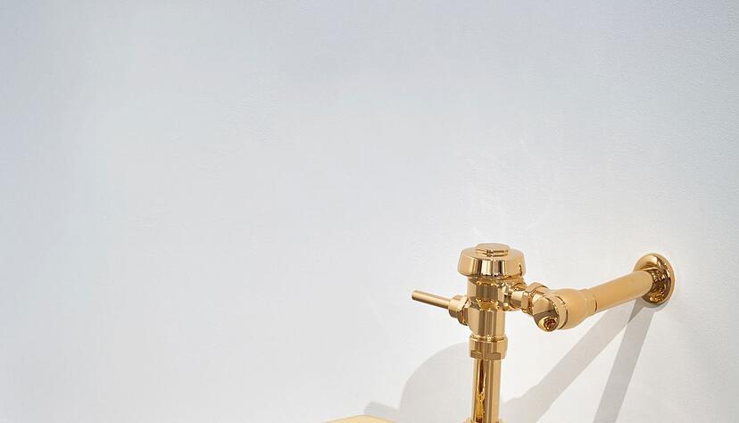 Das Klo ist voll funktionsfähig.