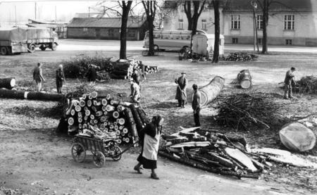 Zusammengestellt von Archiv und Dokumentation der Heilbronner Stimme 

1961- An den B&ouml;ckinger Sportpl&auml;tzen fallen die Pappeln.