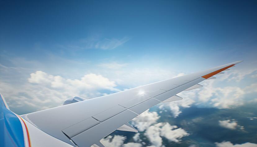 Mit den hochgestreckten Fl&uuml;gel wird weniger Treibstoff verbraucht.