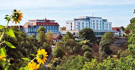 Man muss den Anblick genießen, so lange es ihn noch gibt: Bis Jahresende soll das alte Panoramahotel vom Waldenburger Bergrücken verschwinden.
Foto: Archiv/Mugler