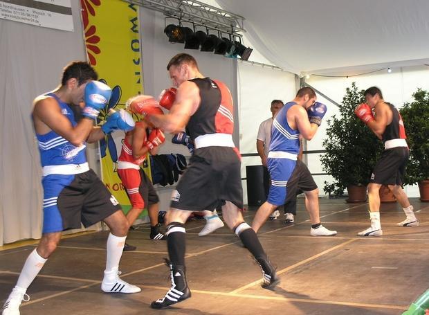 Blumensommer Nordheim