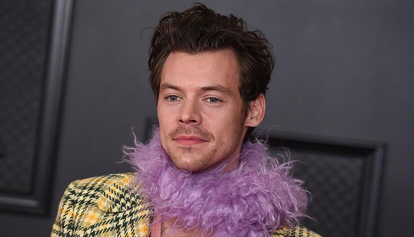 Harry Styles geht dieses Jahr auf Welttournee, die Tickets sind hei&szlig; begehrt. (Archivbild)