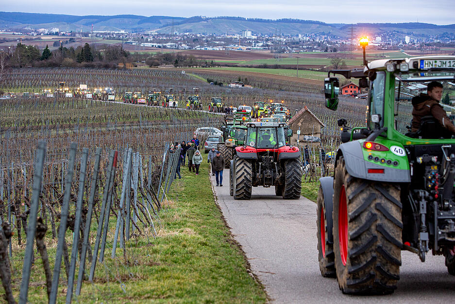 Bauern bringen Heuchelberg zum Leuchten