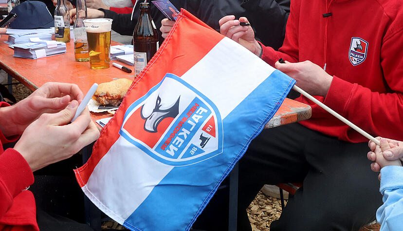 Noch ist offen, wie es mit den Heilbronner Falken weitergeht. Demn&auml;chst soll aber eine Entscheidung fallen.