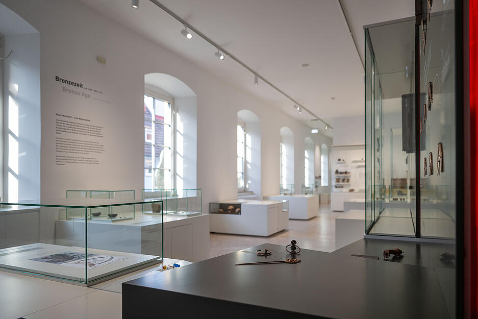 Dauer- und Sonderausstellungen bieten im Neuen Museum abwechslungsreiche Einblicke.