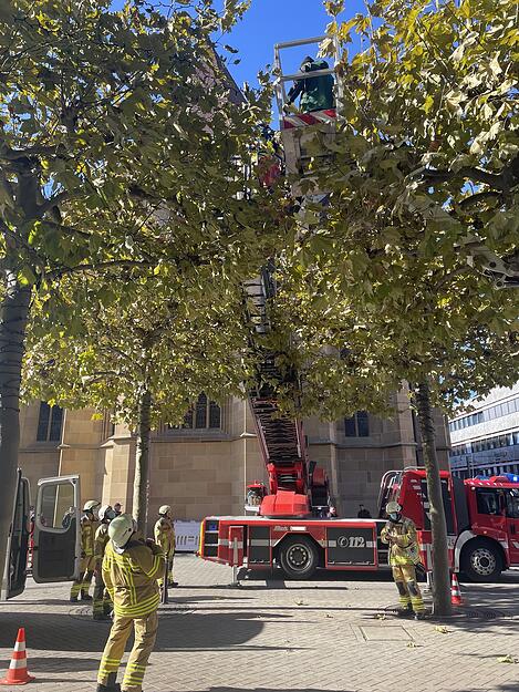 Feuerwehreinsatz am Kiliansplatz nach Hubsteiger-Unfall
