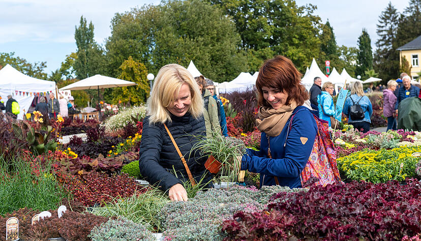 Garten & Genuss