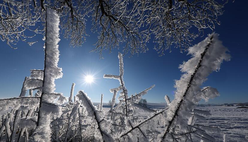Eine Landschaft in Weiß - für viele bleibt die ein weihnachtlicher Traum.