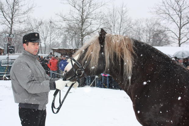 Pferdemarkt Öhringen | 16.02. Pferdemarkt Öhringen | 16.02.