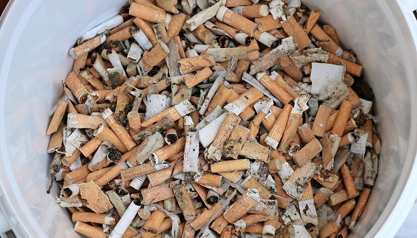 Nachdem die mitgebrachten Flaschen viel zu schnell voll waren, wurde mit dem Eimer weitergesammelt. Nachdem die mitgebrachten Flaschen viel zu schnell voll waren, wurde mit dem Eimer weitergesammelt.