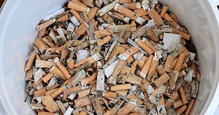 Nachdem die mitgebrachten Flaschen viel zu schnell voll waren, wurde mit dem Eimer weitergesammelt. Nachdem die mitgebrachten Flaschen viel zu schnell voll waren, wurde mit dem Eimer weitergesammelt.