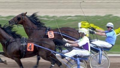 Willi Rode (blau) hat 6950 Siege im Trabrennsport eingefahren.