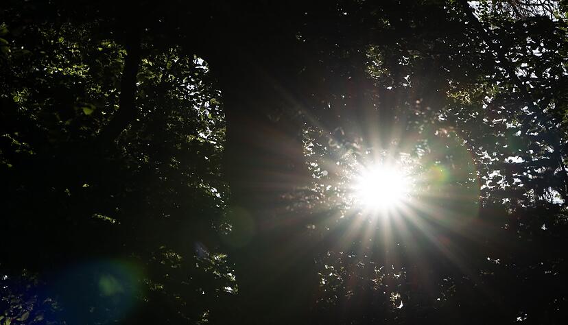 Ab Sonntag kommt die Sonne wieder st&auml;rker raus - auch die Temperaturen sollen dann wieder steigen. (Symbolbild)