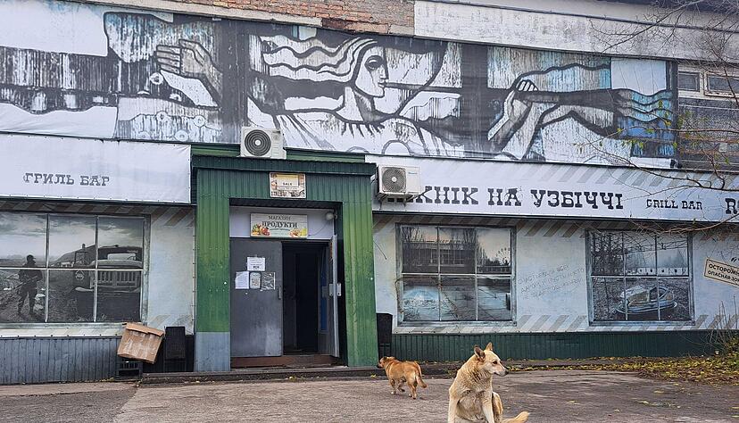 Tagelang berichteten internationale Medien &uuml;ber &laquo;blaue Hunde&raquo; in Tschernobyl. Im radioaktiv belasteten Sperrgebiet bezeichnet man die Berichte als Unsinn.