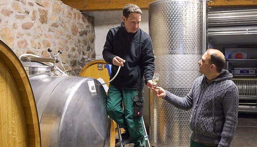 Die Jungwinzer Thomas (r) und Martin Phillips arbeiten im Weinkeller. Die Brüder bauten den Weinbau-Hobbybetrieb ihrer Eltern von 0,3 Hektar zu einem Vollerwerbsbetrieb mit rund sechs Hektar aus. Die Jungwinzer Thomas (r) und Martin Phillips arbeiten im Weinkeller. Die Brüder bauten den Weinbau-Hobbybetrieb ihrer Eltern von 0,3 Hektar zu einem Vollerwerbsbetrieb mit rund sechs Hektar aus.