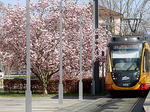 Die S4 ist am Freitagabend von Ausf&auml;llen betroffen. (Symbolbild)