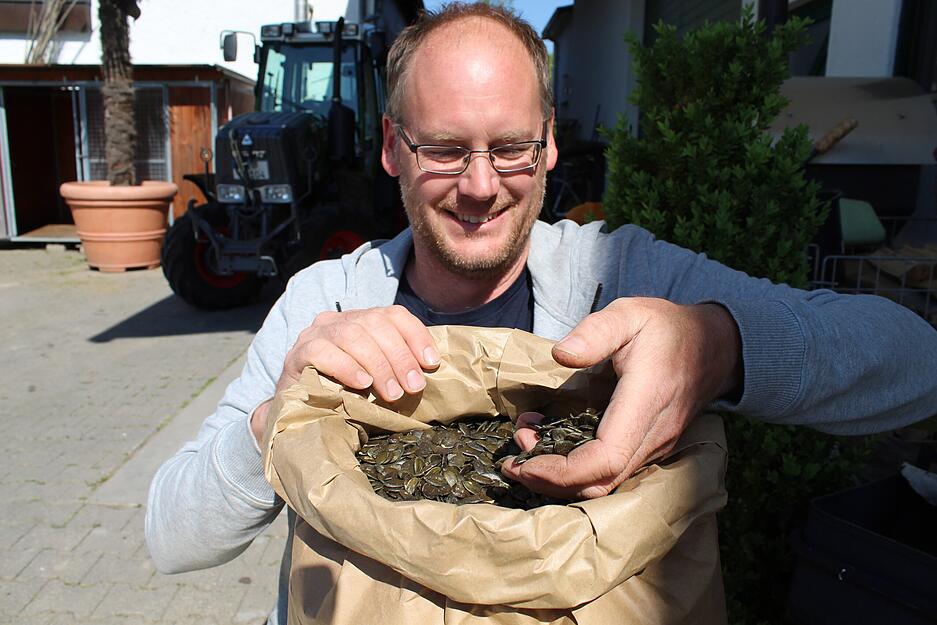 Schwarzes Gold: Christian Seybold pr&uuml;ft die Qualit&auml;t der Kerne des Steirischen K&uuml;rbis aus eigenem Anbau.